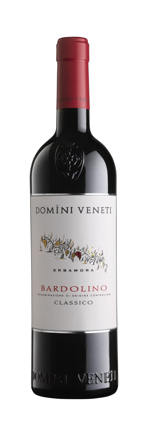 Domini Veneti Bardolino DOC Classico